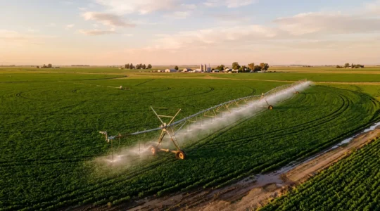Système d'irrigation agricole moderne dans un champ, illustrant la comparaison entre enrouleur et pivot