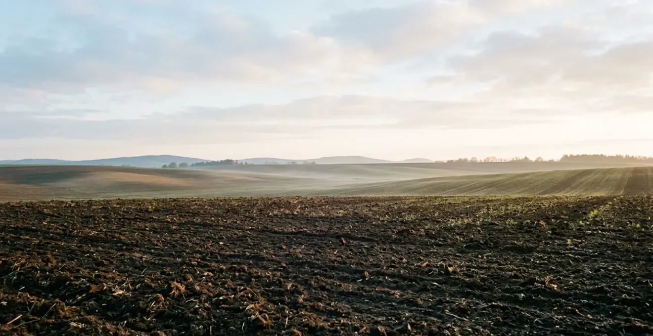 Champ cultivé en agriculture de conservation avec sol vivant et pratiques de stockage carbone