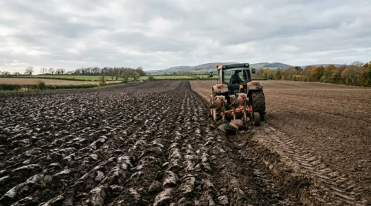Tracteur agricole en action sur sol tassé après récolte humide, préparation du terrain